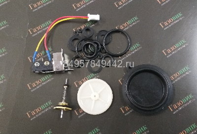 Ремкомплект к газовой колонке Electrolux GWH 10 High Performance Eco
